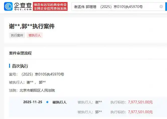 “嘎子”谢孟伟夫妇再被执行797万，此前被执行超1400万