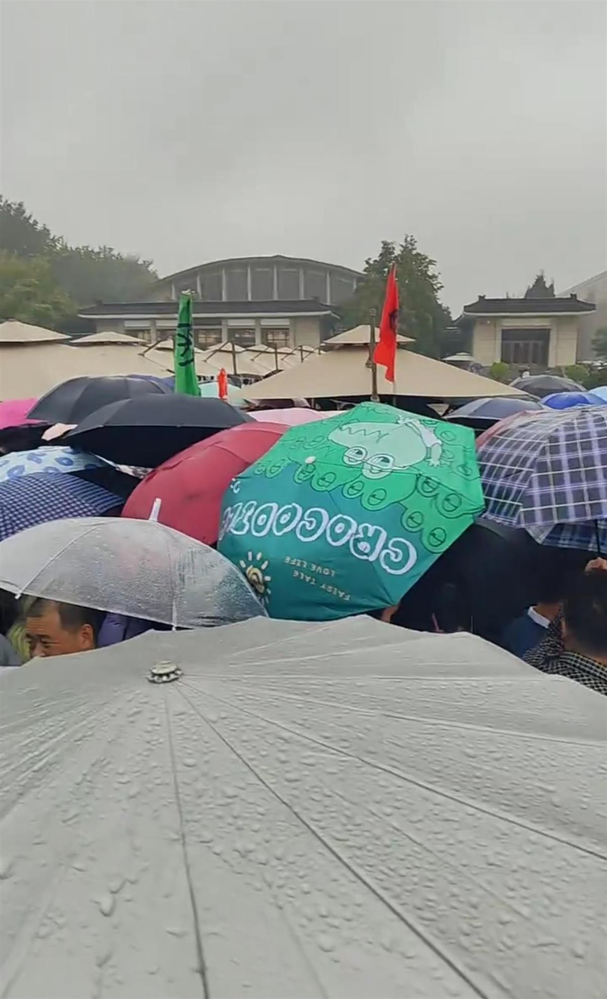 兵马俑景区开启“雨伞挤雨伞”模式，有人早上6点出发冲“一道门”，“导游都挤丢了”，景区建议错峰出行
