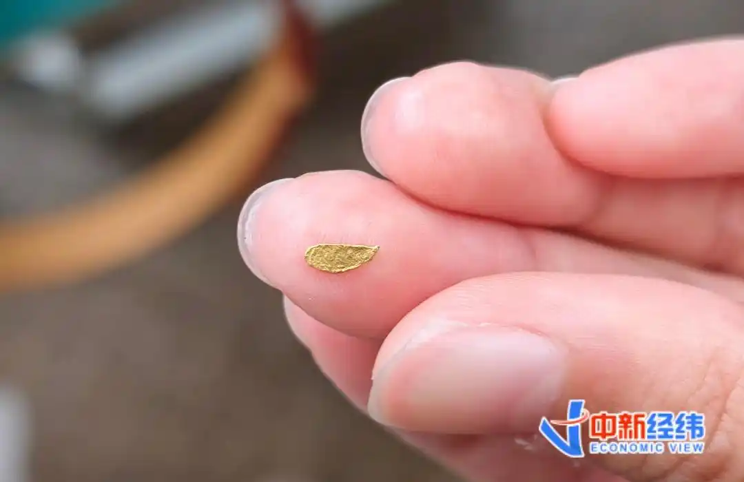 抬头就是万张金箔!游客花30元可淘金,有景区国庆预约破万