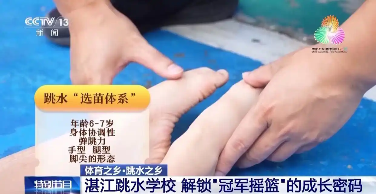 跳水“冠军摇篮”为何是湛江?跟着记者解锁背后密码