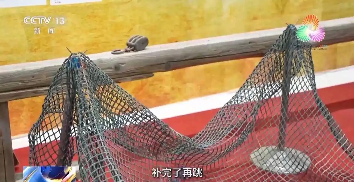 跳水“冠军摇篮”为何是湛江?跟着记者解锁背后密码