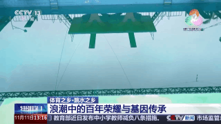 跳水“冠军摇篮”为何是湛江?跟着记者解锁背后密码