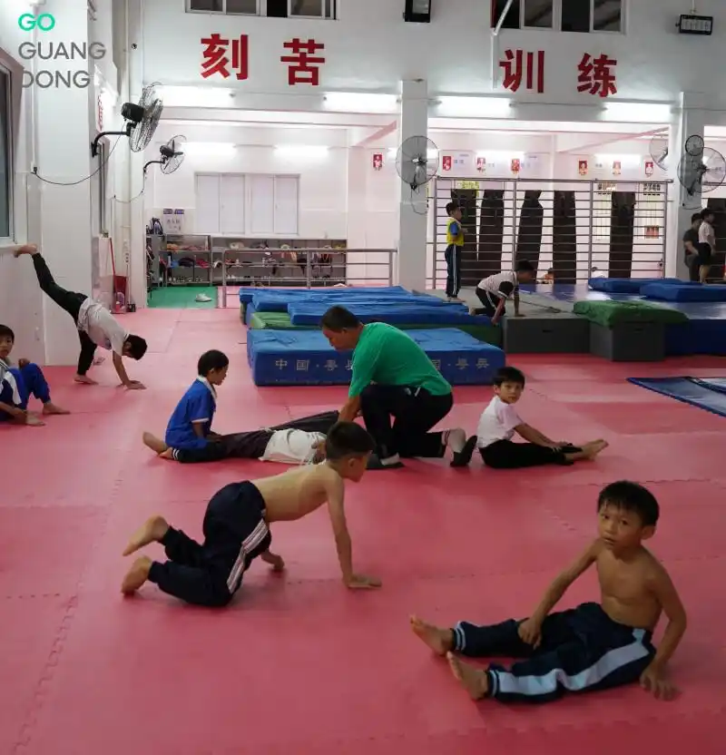 十五运会广东跳水再揽“双金”，探秘“冠军摇篮”湛江跳水学校的训练日常