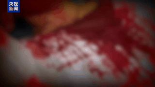 “随便找个陌生人杀了祭天”!缅北魏家接班人回应残忍手段:没什么感受