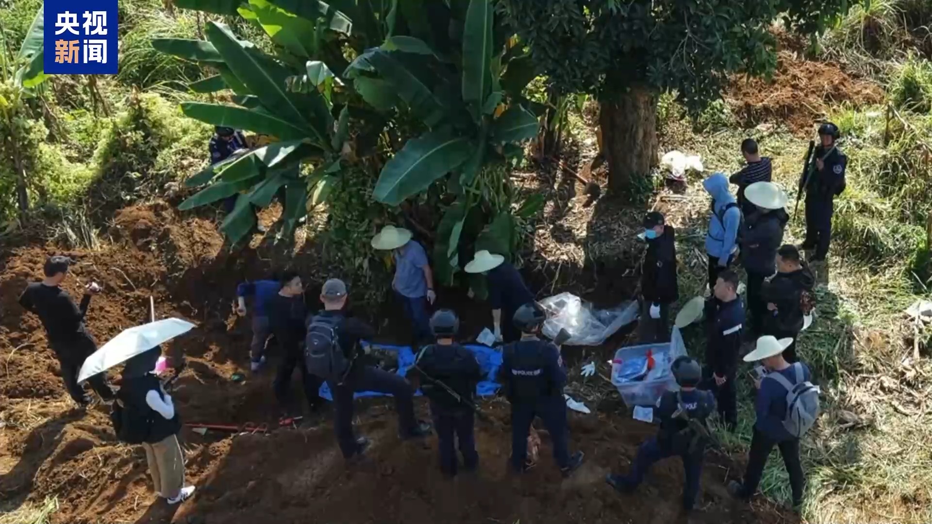 “随便找个陌生人杀了祭天”!缅北魏家接班人回应残忍手段:没什么感受