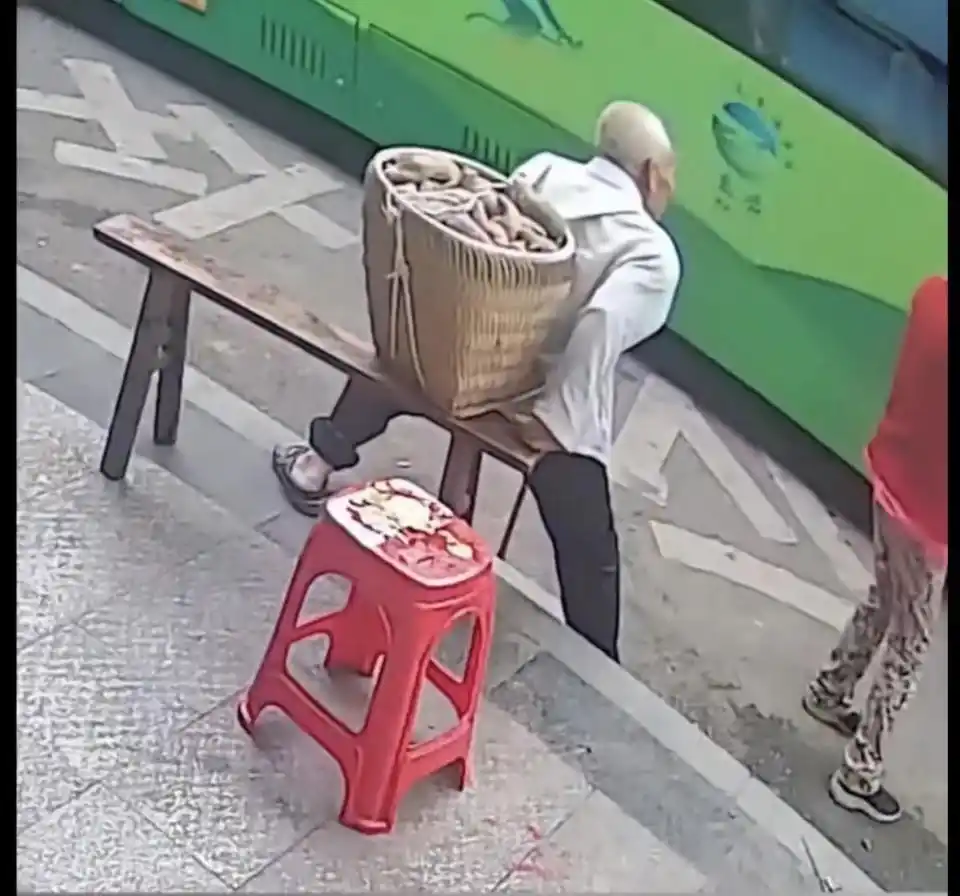 重庆一背篓老人等公交被拒载，当地交通运输局：涉事司机已被开除