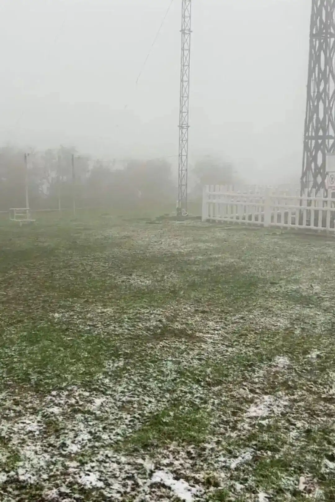 今年会出现极寒冷冬吗？最新研判→