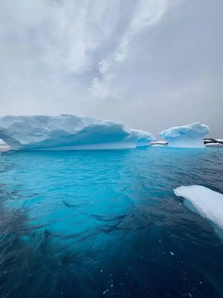 南极旅游价格被打下来了?亲历者分享5万元打卡攻略