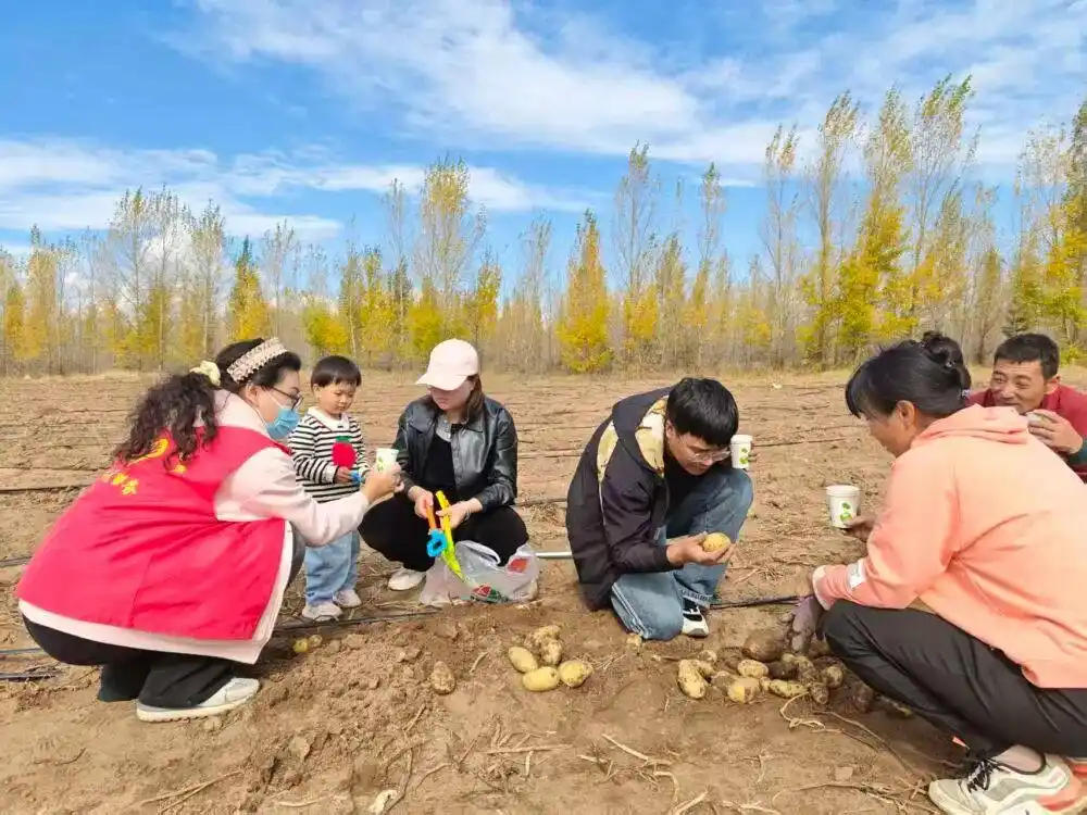 挖土豆挖得不亦乐乎,“下地干活式旅游”火了?