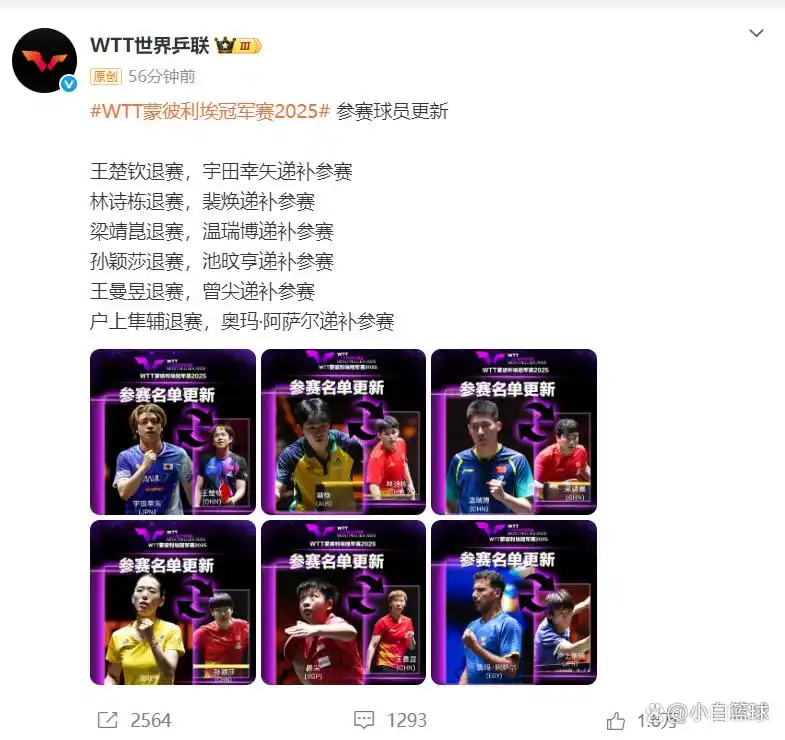 国乒5大主力退出法国站：最终7人参战！德国站目前国乒无1人报项