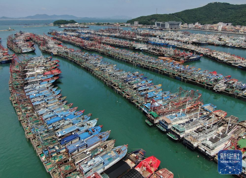 全力应对台风“桦加沙”