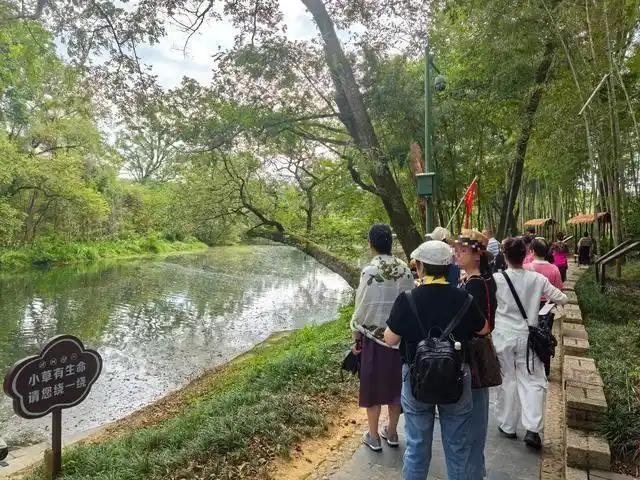 7小时“铁腚”大巴游老年团全纪录:不在家里做饭,我出门就像打鸡血