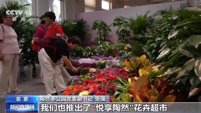 北京秋花进入盛花期 喜迎“双节”氛围浓