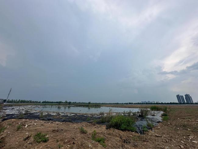 东莞17亿元全额付款土地被无偿收回 企业称闻所未闻