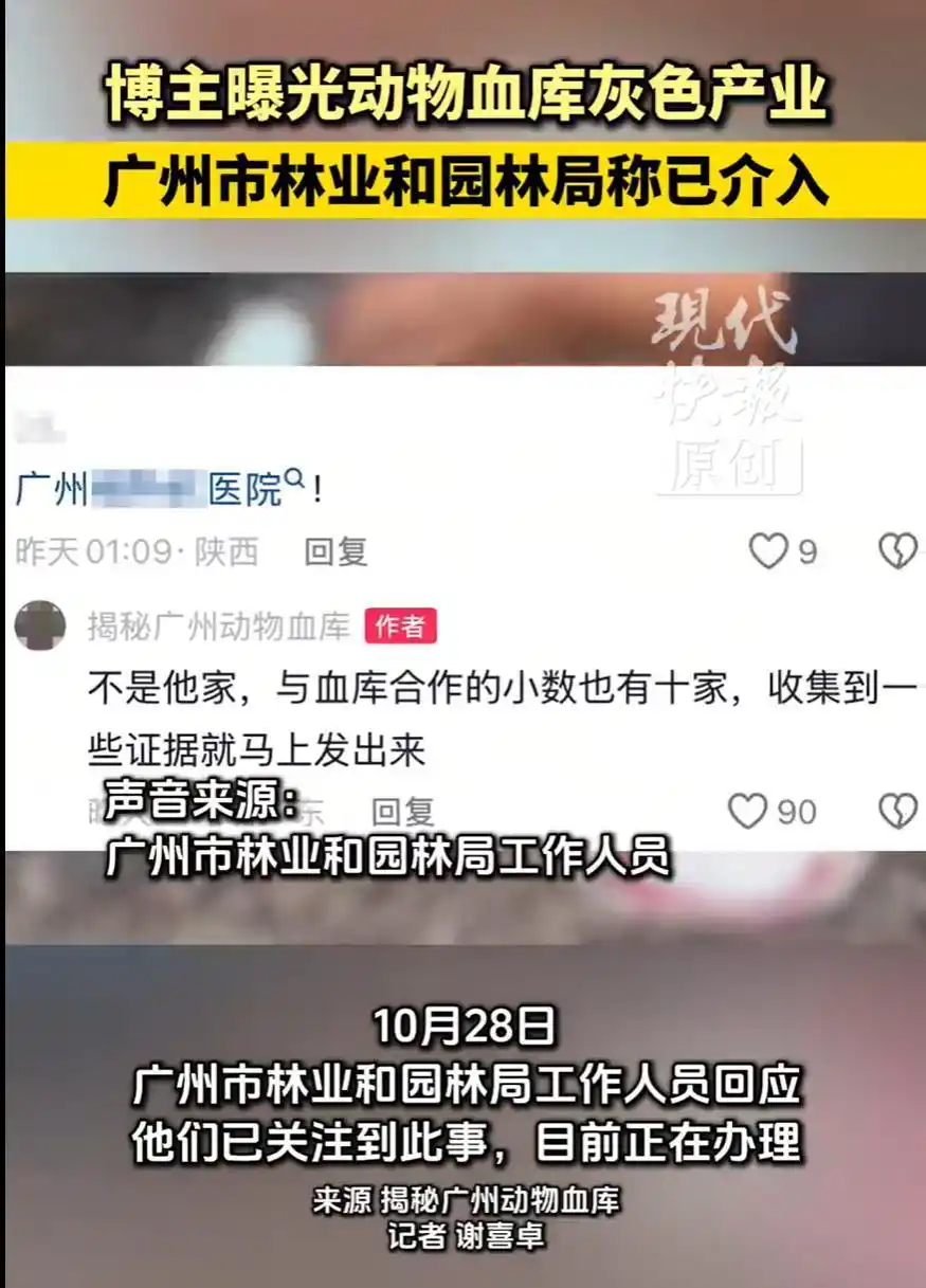动物血库灰色产业被曝光,必须斩断“以命换命”的黑色产业链