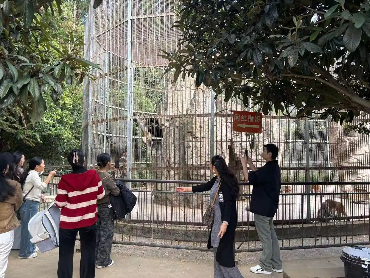 凯里动物园老爷爷回应有游客逃票：本身就为群众服务的，只要大家高兴