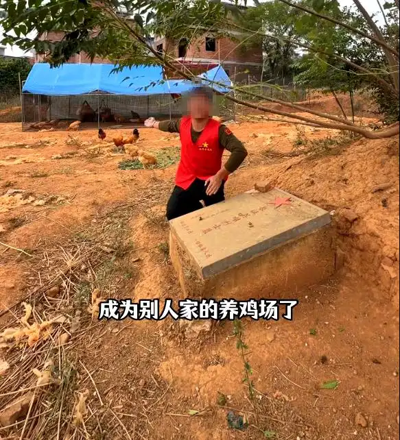 湖南永州一烈士墓地成了养鸡场？当地回应：已整改