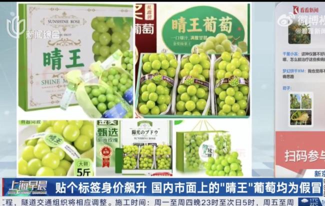 阳光玫瑰贴上这个标签后涨价数倍 晴王标签助推价格翻倍