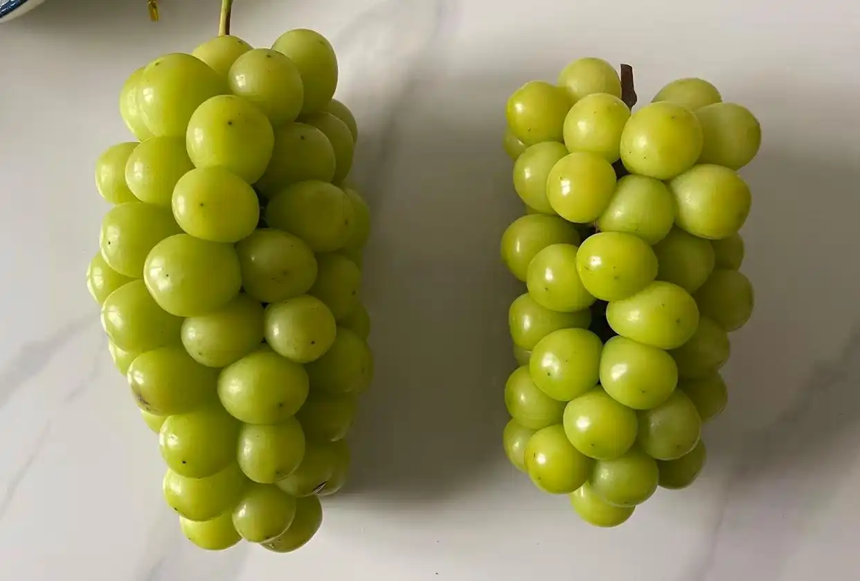 贴上“晴王”标签后涨价数倍,阳光玫瑰葡萄市场乱象调查